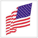US Flag Removable Tattoos