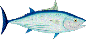 art fish1.GIF (8835 bytes)